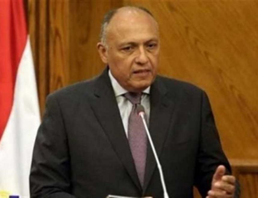 وزير خارجية مصر: الهجوم التركي على سوريا عدوان سافر يهدد الدول العربية