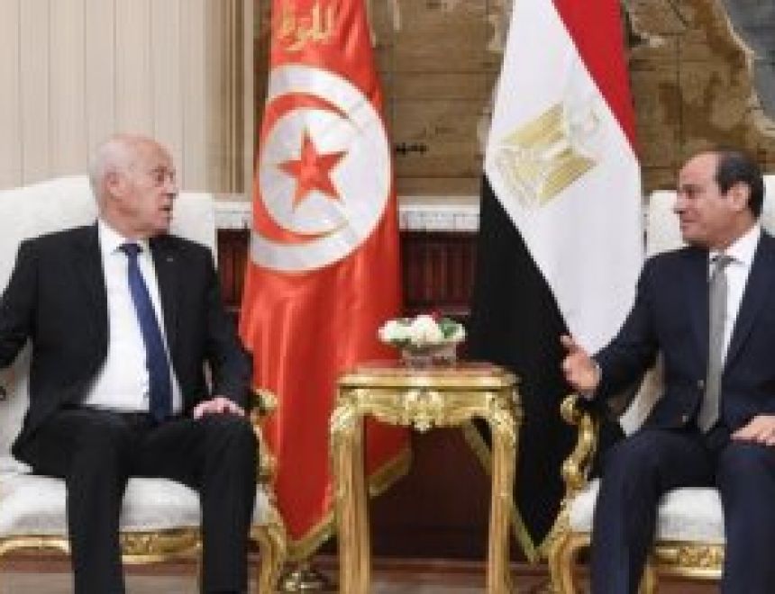 الرئيس السيسى لنظيره التونسى: الأمن المائى المصرى جزء من الأمن القومى العربى