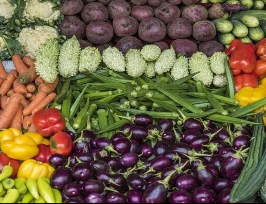 استقرار أسعار الخضروات اليوم 