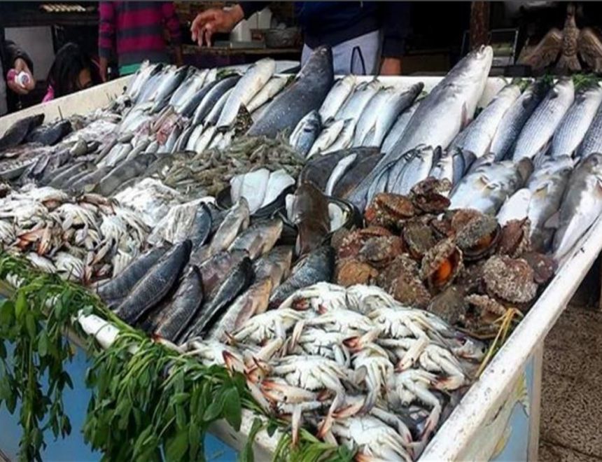 استقرار أسعار الأسماك بالسوق 