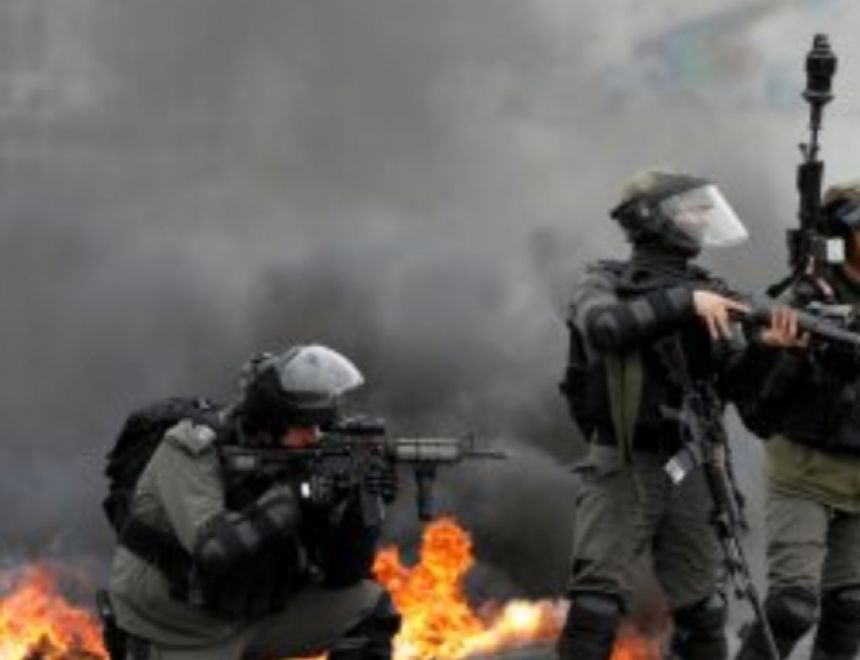 قوات الاحتلال الإسرائيلي تعتقل سبعة من الفلسطينيين 