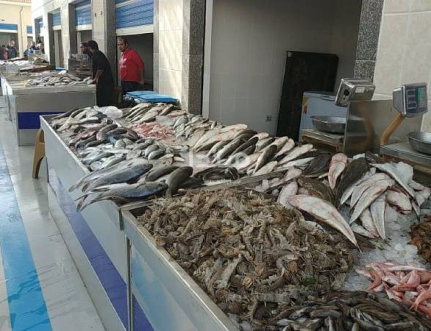 أسعار الأسماك في السوق المصري اليوم 