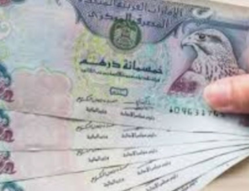 ثبات سعر الدرهم الإماراتي  اليوم في البنوك المصرية