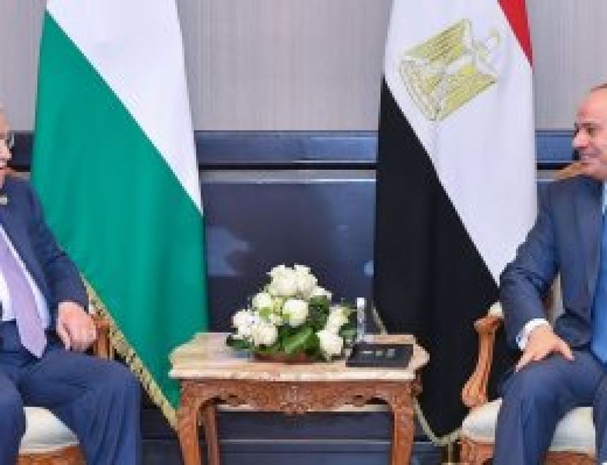 الرئيس السيسى يستقبل أبو مازن ويشدد على ثبات موقف مصر الداعم للقضية الفلسطينية