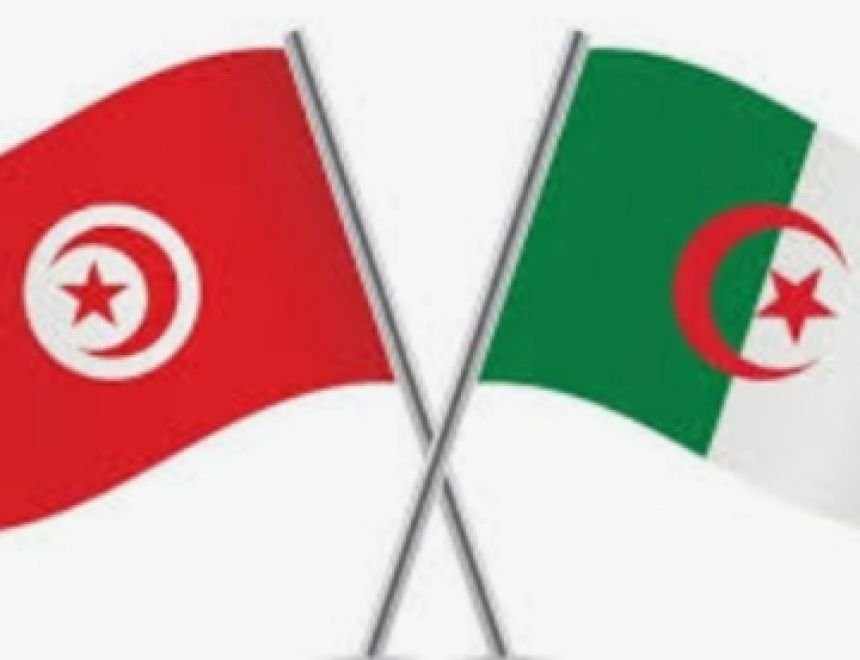 محاولات تونس و الجزائر في الفوز بمباراة اليوم أمالاً في البقاء في بطولة الأمم الأفريقية 
