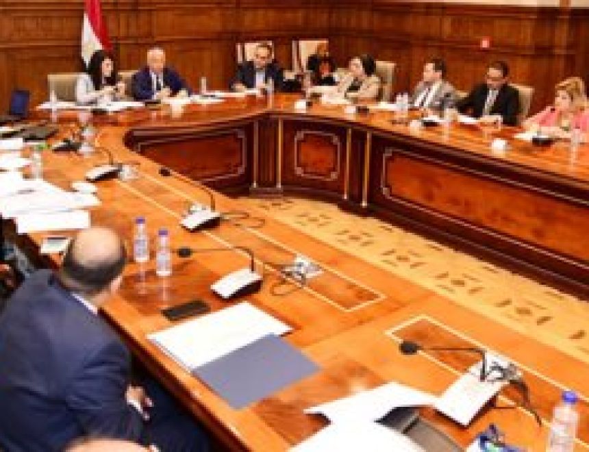 وزير القوى العاملة يستعرض خطة رعاية العمالة المصرية أمام "خارجية النواب"