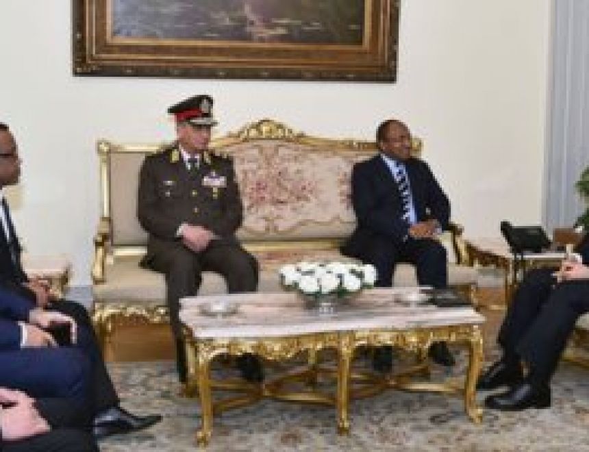  الرئيس عبد الفتاح السيسى :تطلع مصر لمواصلة تعزيز العلاقات المتميزة مع تنزانيا فى مختلف المجالات 