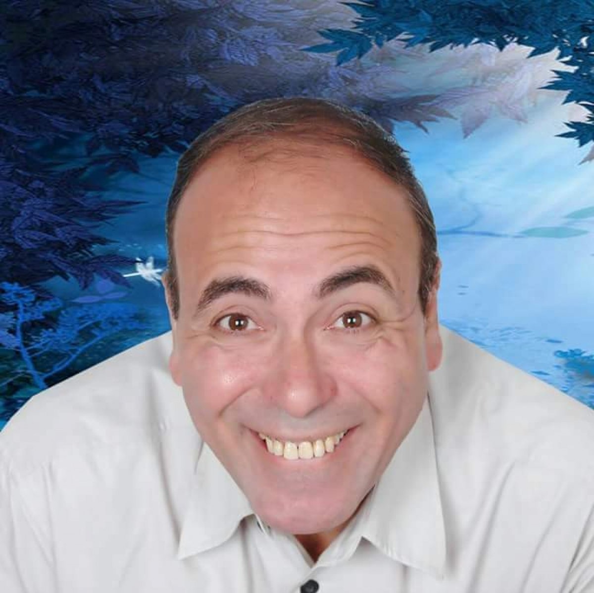 وكالة انباء الدول العربية  ترشح الفنان  حمدى السيد بمسلسل البيان 151 