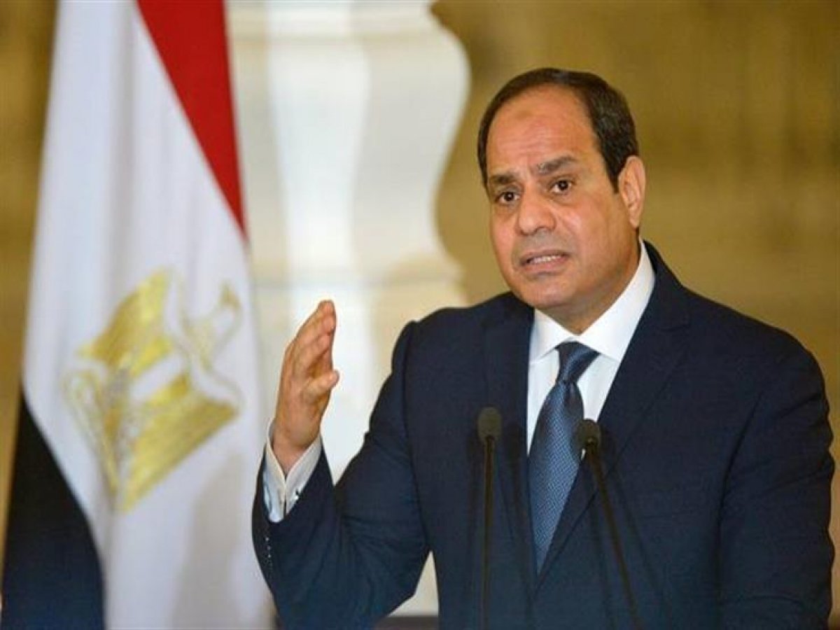 السيسي يتابع منظومة دعم و حماية الفنانين