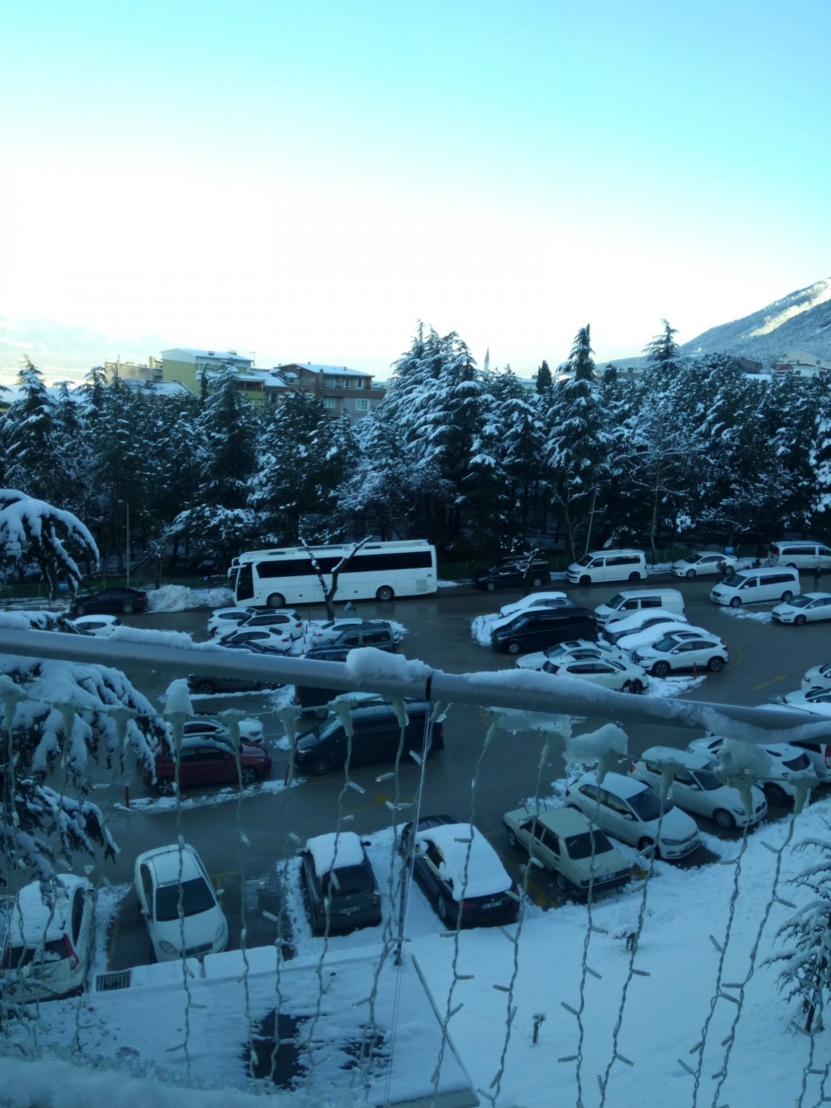 حملة خليها تصدى : شروط استيراد السيارات الأوروبية المعفاة من الجمارك