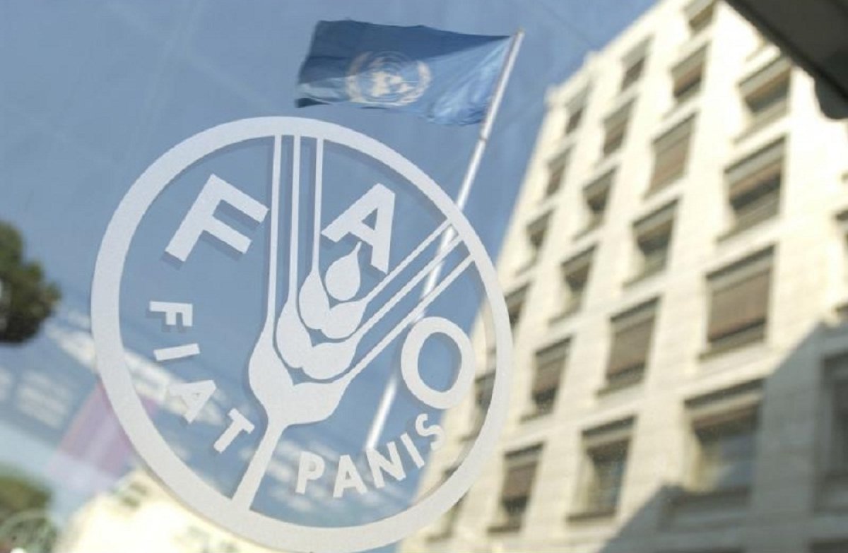 «فاو»: تراجع أسعار المواد الغذائية في العالم في يوليو