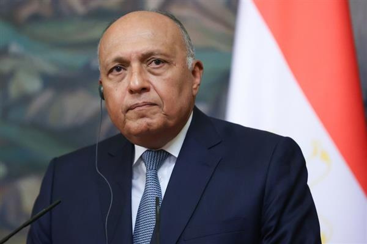 بعد توجيهات الرئيس.. شكري: جارٍ ترتيب الإجراءات اللوجيستية الخاصة باستقبال الأطفال حديثي الولادة من غزة