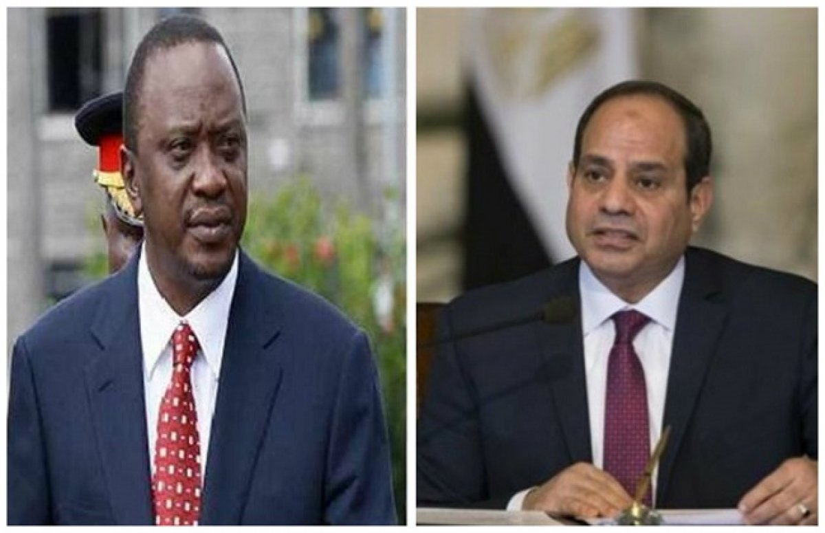 الرئيس السيسي يبحث عددا من قضايا القارة الإفريقية في اتصال هاتفي مع نطيره الكيني