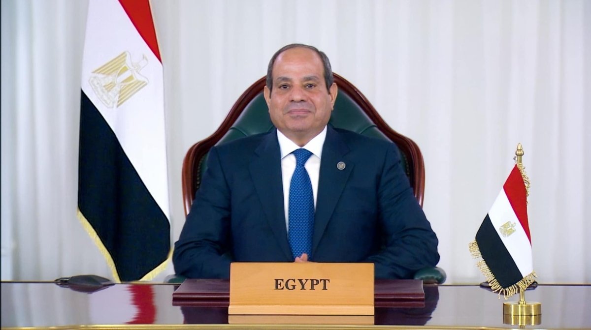 يجب احترام القانون الدولي فى إدارة الأنهار العابرة للحدود.. نص كلمة الرئيس بـ «نداء عالمي لقمة المستقبل»