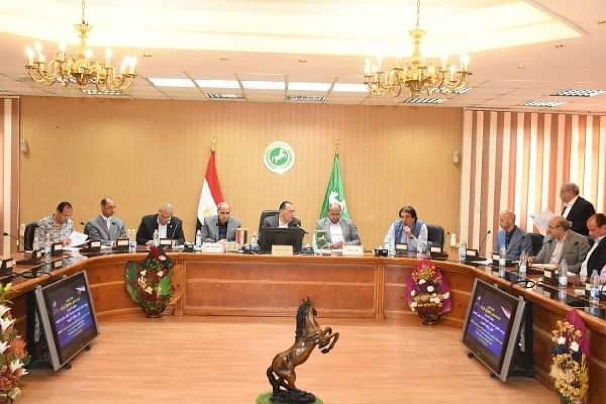 نواب الشرقية يُشيدون بجولات محافظ الشرقية 