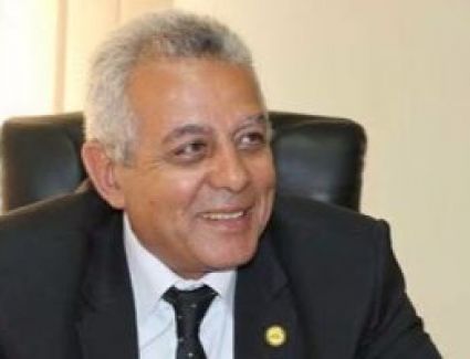 النائب سلامة الجوهرى: الشعب المصرى لديه وعى كاف لمواجهة مخططات الإرهابيين