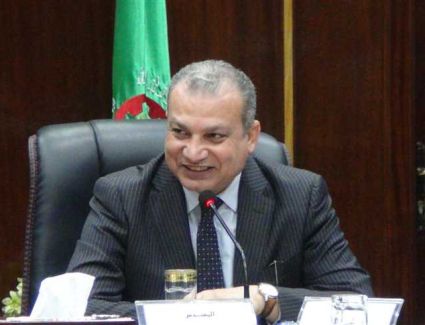 «تطوير العشوائيات»: محافظة شمال سيناء بالكامل خالية من العمران غير الآمن