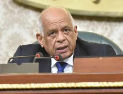 بدء الجلسة العامة للبرلمان بمناقشة تعديل قانون مدينة زويل