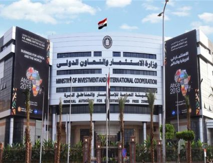 بعد توقف 9 أعوام.. مصر وجورجيا تتفقان على تفعيل اللجنة المشتركة للتعاون الاقتصادي