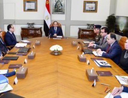 لقاءات السيسي مع الحكومة لمتابعة عدد من القضايا والملفات