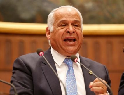 فرج عامر: تسهيل الممارسة البرلمانية عن بعد يساعد في استمرار دور النواب