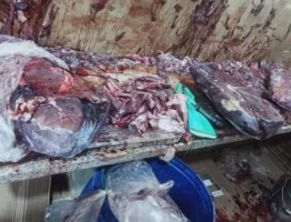 ضبط 3 أطنان كبدة ولحوم فاسدة بمطعم للوجبات الجاهزة بشبرا الخيمة