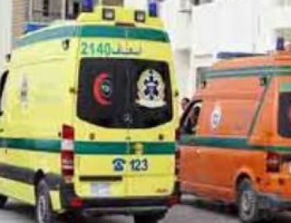 تواجد مكثف لسيارات الإسعاف أمام لجان انتخابات النواب بشبرا والساحل‎