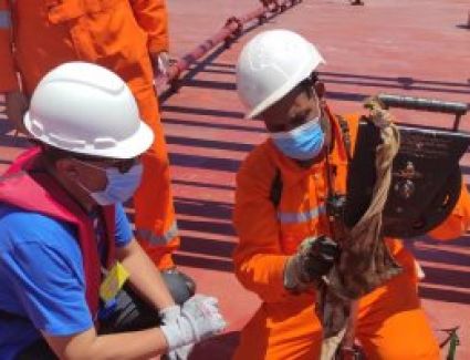 الأردن يعلن اكتشافات غاز طبيعي بالقرب من الحدود مع العراق