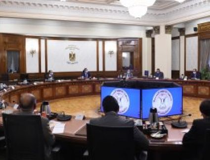 مدبولي: تكليفات من الرئيس بالاعتماد على الصناعة الوطنية بمشروعات "حياة كريمة"