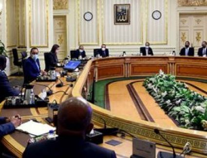 رئيس الوزراء يلتقى الرئيس التنفيذى لمؤسسة التمويل الأفريقية