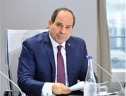السيسى يوجه بالتوسع فى الجهود الحيوية وتوفير الموارد لدعم إنتاج البذور 