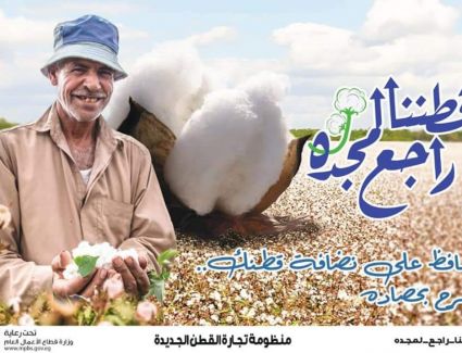 تقرير وزاري ينذر بعودة المجد للقطن المصري