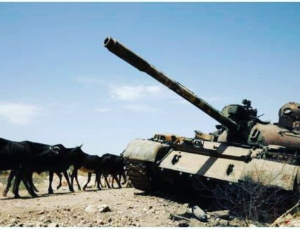 المتمردون يعلنون سيطرة قواتهم على بلدة استراتيجية في ولاية أمهره