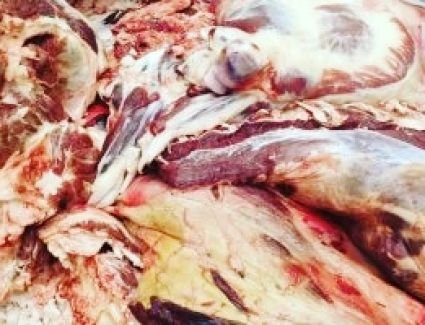 ضبط 13 ذبيحة ضأن غير صالحة للاستهلاك الآدمي بالقاهرة.. اعرف التفاصيل