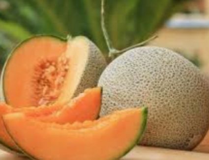 للشمام فوائد عديدة على الحوامل 