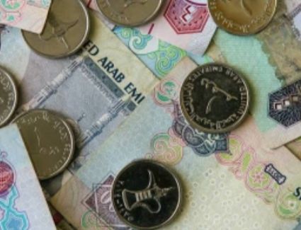  استقرار سعر الدرهم الإماراتى اليوم 