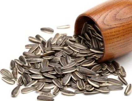 للب السوري أضرار لم تكن تعرفها