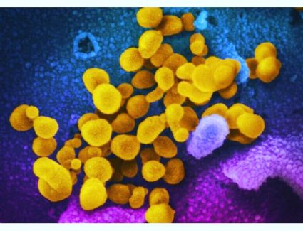 بريطانيا تحذر العالم من خطر سلالة جديدة من ڤيروس كورونا