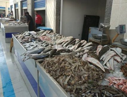 أسعار الأسماك في السوق المصري اليوم 