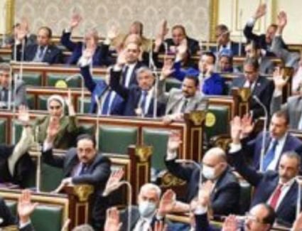 التمتع بشخصيه مستقلة و إعتبارية ..أبرز مواد حقوق ذوي الاعاقة