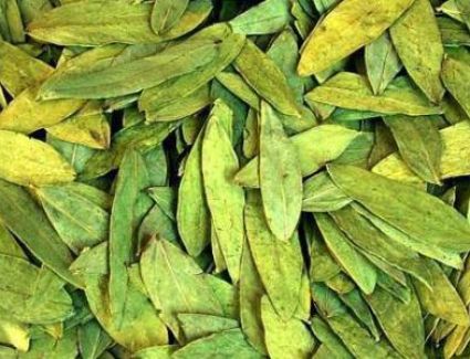 لشعر قوي وبشرة صحية، لك أهم فوائد عشبة "العشرق للبشرة والشعر"