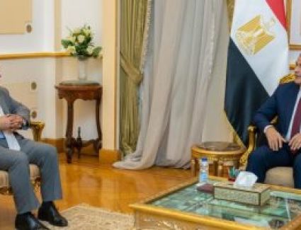 وزير الإنتاج الحربى: نستهدف صناعة فرص تعاون جديدة مع الدول الإفريقية