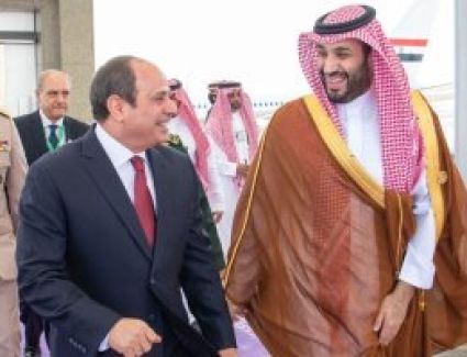 الرئيس السيسى وولى العهد السعودى يبحثان سبل تعزيز العلاقات الثنائية بين البلدين