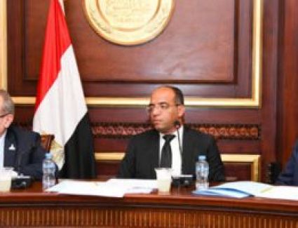 ممثلو الحكومة لـ"الشيوخ": الدولة حريصة على سرعة تطبيق التأمين الصحى الشامل