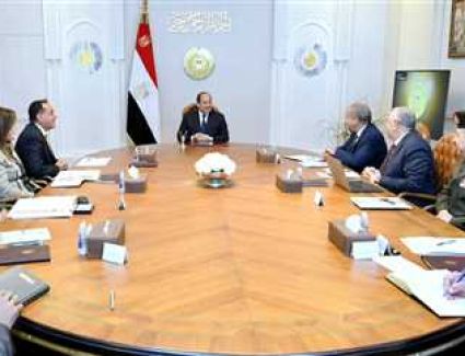 السيسي يتابع منظومة الأمن الغذائي وموقف المخزون الاستراتيجي للسلع الغذائية