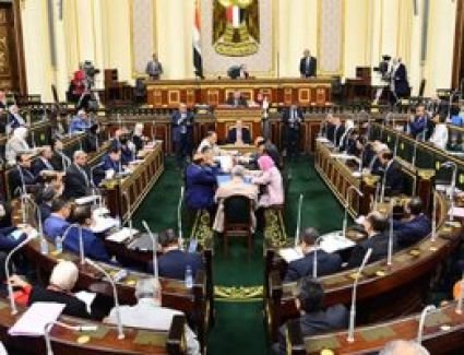 رفع غرامات الأرز المطلب الأهم للنواب فى جلسة مواجهة وزير الرى بـ110 أدوات رقابية