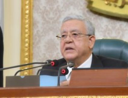 رئيس مجلس النواب: لا توجد أراضى تُروى بمياه الصرف الصحى وسبق الرد على ذلك