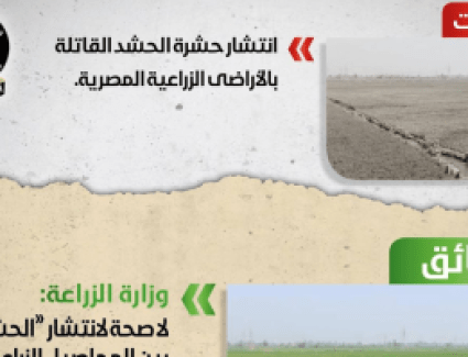 مجلس الوزراء: تنسيق مع كل الجهات بالتصدي للصفحات المروجة للشائعات