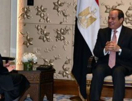 الرئيس السيسى يؤكد دعم مصر لجهود التنمية بتونس تحت قيادة قيس سعيد