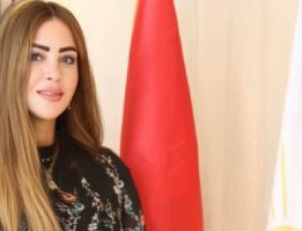 رئيس حزب مصر أكتوبر: الرقابة أهم للالتزام بالتعريفة المقررة